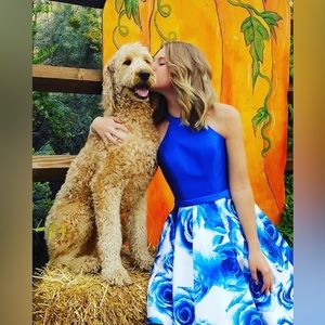 Gorgeous Semi-Formal Royal Blue Dress